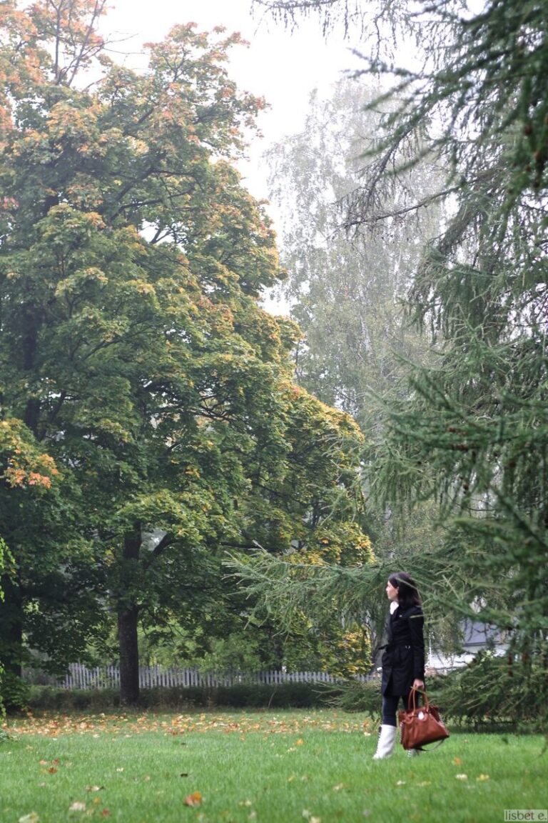 Salainen puutarha